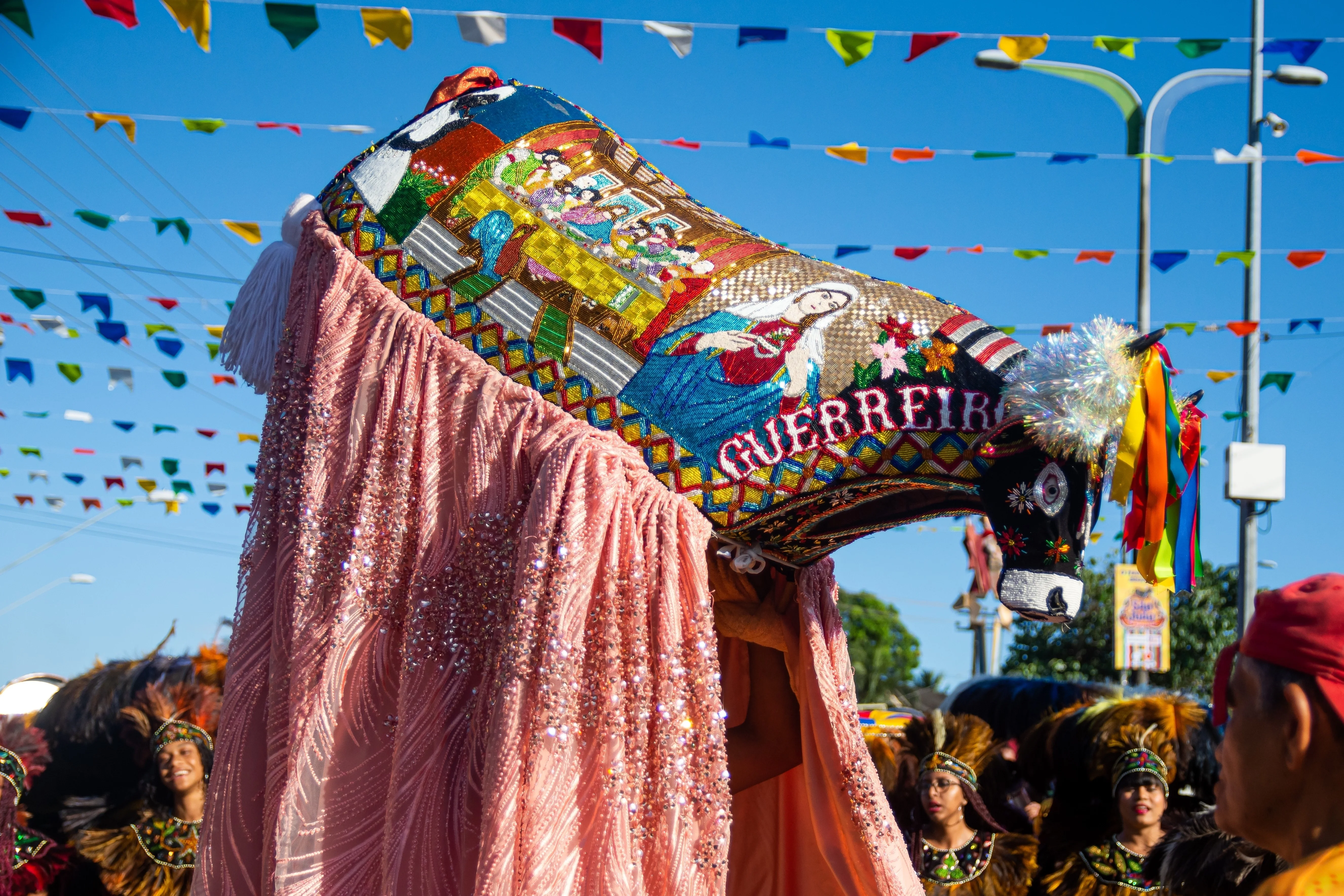 Boi preto na comemoração da festa do Bumba-meu-boi no Maranhão.